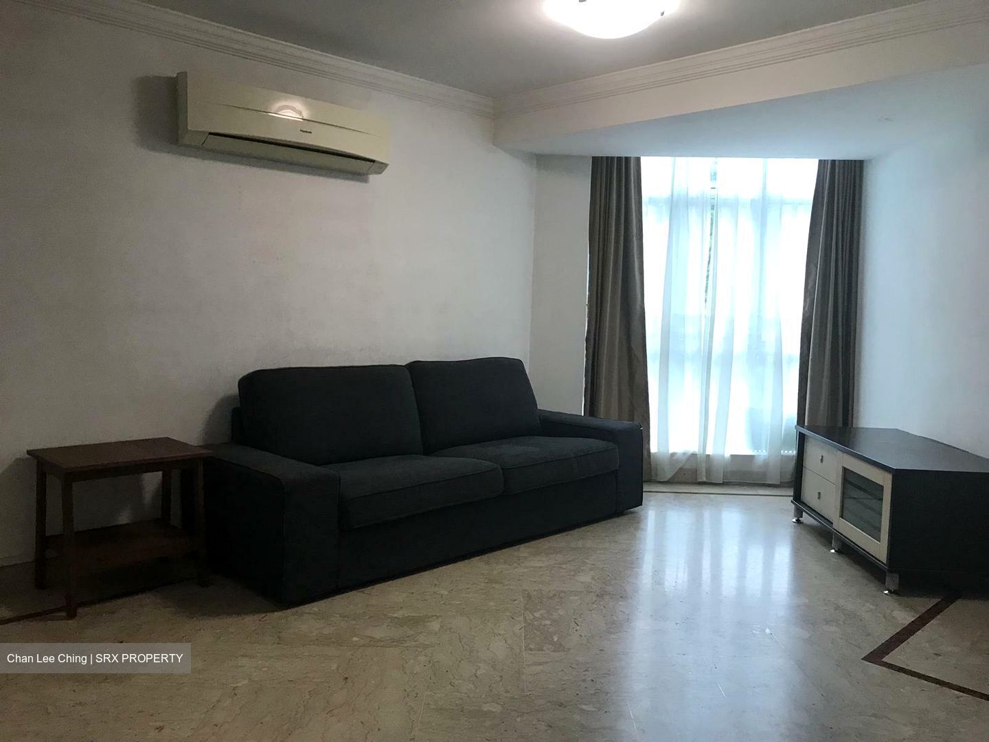 Leedon 2 (D10), Condominium #498858881